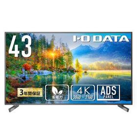 アイオーデータ 液晶42.5型/18時間連続稼働高輝度500cd LCD-U431D