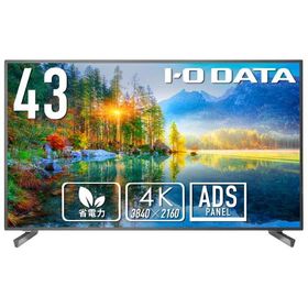 アイオーデータ｜I-O DATA 液晶ディスプレイ(43型/ ADS/ 4K UHD 3840×2160/ 60Hz/ 6ms/ HDMI)(ブラック) LCD-U431D 返品種別A