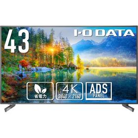 IODATA PCモニター・液晶ディスプレイ LCD-U431D [43インチ ブラック]