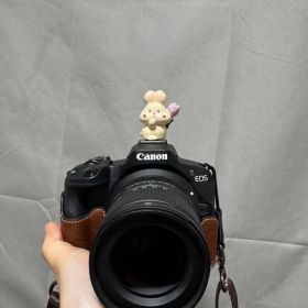 Canon EOS R50本体 SIGMA 18-50mm F2.8