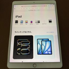 iPad Pro 10.5インチ 256GB ゴールド 中古品 おまけ有