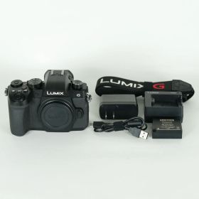 [美品 | シャッター数11,650回] Panasonic LUMIX DC-G99 | マイクロフォーサーズマウント