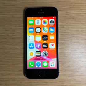 iPhone SE(第1世代) 新品 5,164円 中古 3,500円 | ネット最安値の価格