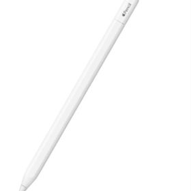 Apple Pencil USB-C アップルペンシル 新品