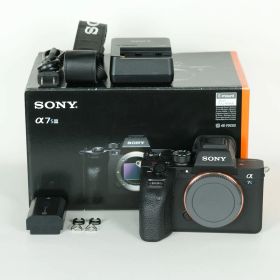[美品 | シャッター数1,057回] SONY α7S III（ILCE-7SM3） | SONY Eマウント