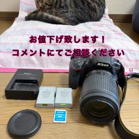 D3400 望遠レンズ＆バッテリー×2＆SDカード＆充電器 多少のお値下げ〇