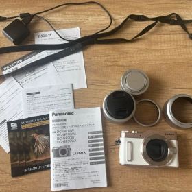 Panasonic LUMIX DC-GF10W 本体
