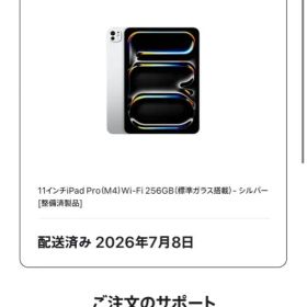 Apple 11インチ iPad Pro M4 Wi-Fi 本体