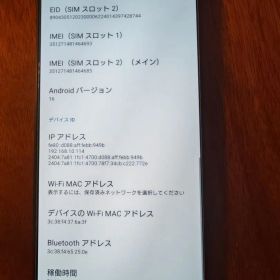 SONY Xperia 1 Ⅵ 本体 WINGLIDEケース付き