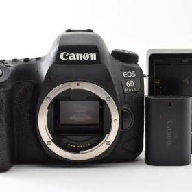 ★美品★ Canon キャノン EOS 6D Mark II ボディ #2071
