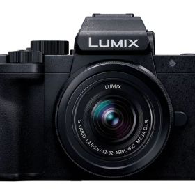 【ポイント10倍】 パナソニック デジタル一眼カメラ LUMIX DC-G100K 標準ズームレンズキット [タイプ：ミラーレス 画素数：2177万画素(総画素) 2030万画素(有効画素) 撮像素子：フォーサーズ 4/3型 LiveMOS 重量：303 g] 【P10倍】