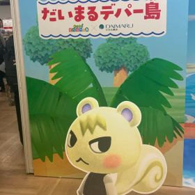 あつまれ どうぶつの森 専用
