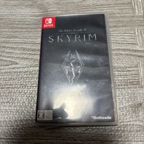 The Elder Scrolls V: SKYRIM Switch版