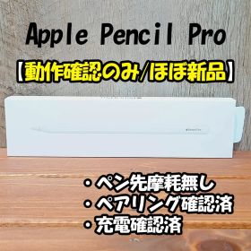 【接続テストのみ/純正】Apple Pencil Pro 箱付 M5/M4/M2