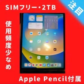 iPad Pro M2 12.9 2TB セルラーApple Pencil付