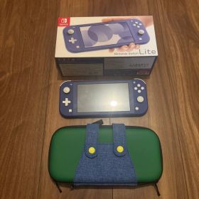 Nintendo Switch Lite ブルー 本体 ルイージケース付