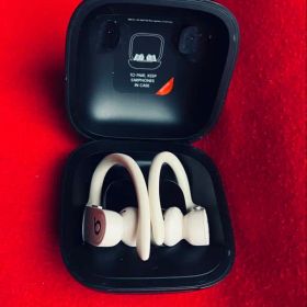 Beats Powerbeats Pro 本体 ワイヤレスイヤホン