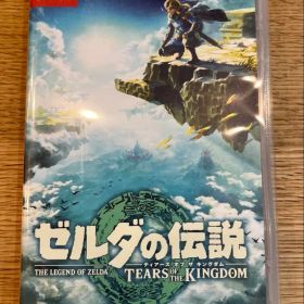 ゼルダの伝説 ティアーズ オブ ザ キングダム Nintendo Switch