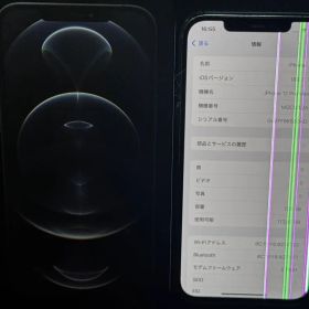 Apple iPhone 12 Pro Max MGCU3J/A SIMフリー
