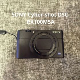 【美品】SONY Cyber-shot DSC-RX100M5A カメラ