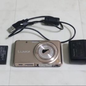 Panasonic LUMIX DMC FX80 本体