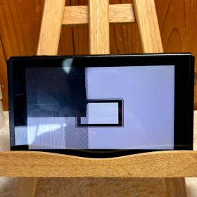 【ジャンク品】Nintendo Switch 本体のみ 初期型 液晶表示不良