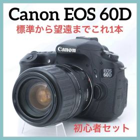 ショット約1万回♪Canon EOS 60D 標準〜望遠ズーム 初心者向け