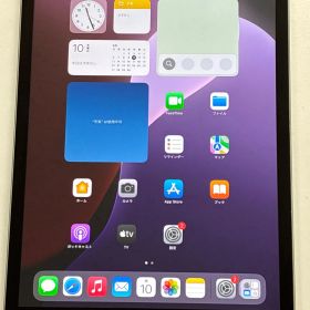 Apple iPad 第9世代 64GB Wi-Fi+Cellular MK493J/A シルバー 動作品