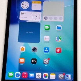 Apple iPad 第9世代 64GB Wi-Fi+Cellular MK493J/A 動作品 湾曲あり