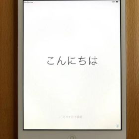 iPad mini 第1世代 32GB Wi-Fi＋Cellular 本体