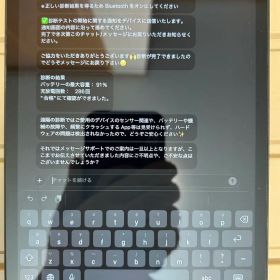 Apple iPad mini5 スペースグレー 256GB セルラーモデル
