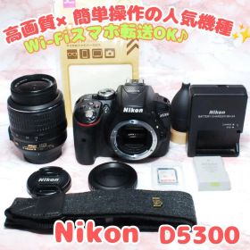 ✨Nikon D5300✨Wi-Fi＆バリアングル液晶 ニコン 高画質 一眼レフ
