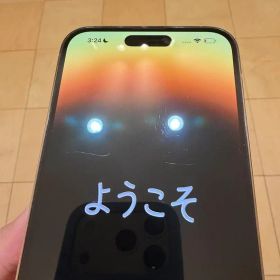iPhone14 pro Max 256GB ゴールド