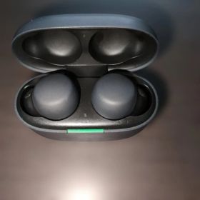 SONY LinkBuds S 本体 ワイヤレスイヤホン