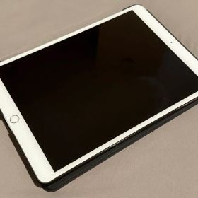 iPad Pro 10.5 インチ 256GB