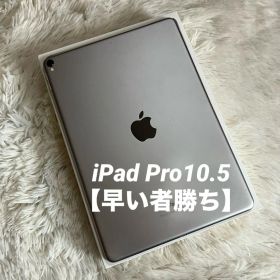 【完動品】iPad Pro 10.5 512GB 【すぐ発送】