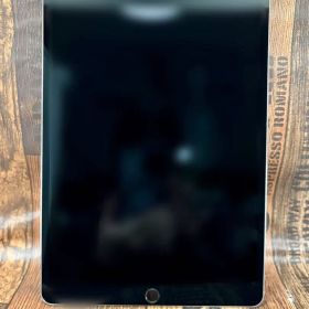 【ジャンク品】iPad Pro 10.5インチ A1709 Cellular
