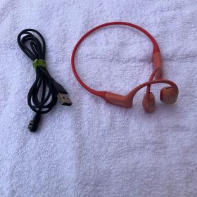 Shokz OpenRun Pro 骨伝導イヤホン ピンク