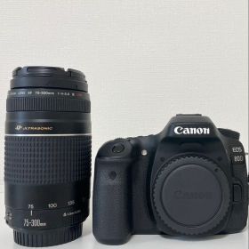 Canon EOS 80D レンズセット