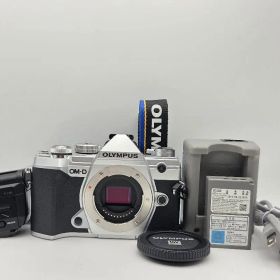 【極美】OLYMPUS OM-D E-M5 Mark III ミラーレス一眼