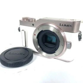 ■美品■ PANASONIC DC-GF10 ボディ
