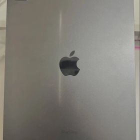 iPad Pro 11インチ 第5世代 m4 256GB本体のみ