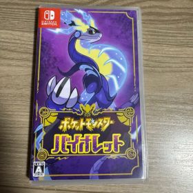 Nintendo Switch ポケットモンスター バイオレット