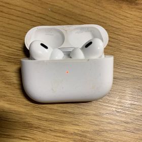 Apple AirPods Pro 第2世代 USB-C A3047 3048
