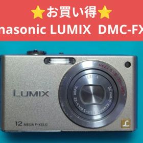 ⭐️お買い得⭐️Panasonic LUMIX DMC-FX40