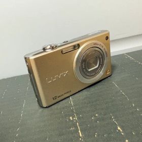 Panasonic LUMIX DMC-FX40 ゴールド 本体