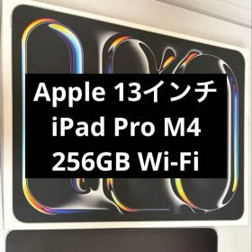 Apple 13インチ iPad Pro M4 256GB Wi-Fi 第7世代