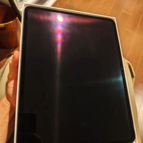 iPad Pro 13インチ M4 wifi+cellular おまけ付き