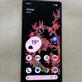 Google SIMフリー Pixel 6 カインダコーラル 8GB 256GB