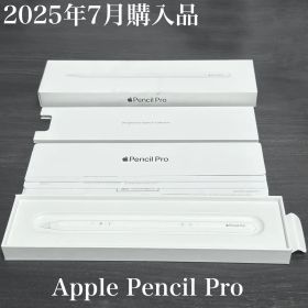 2025年7月購入 付属品 Apple Pencil Pro MX2D3ZA/A